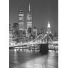 fototapeta K-pion 184/254