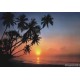 Fototapeta Tropical Sunset 8-030 Komar