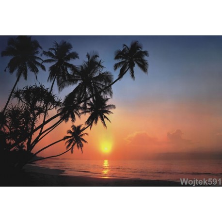 Fototapeta Tropical Sunset 8-030 Komar